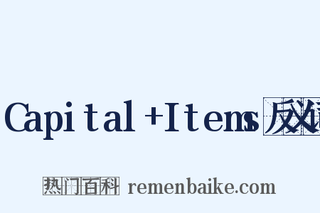 Capital+Items反义词是什么意思的图片